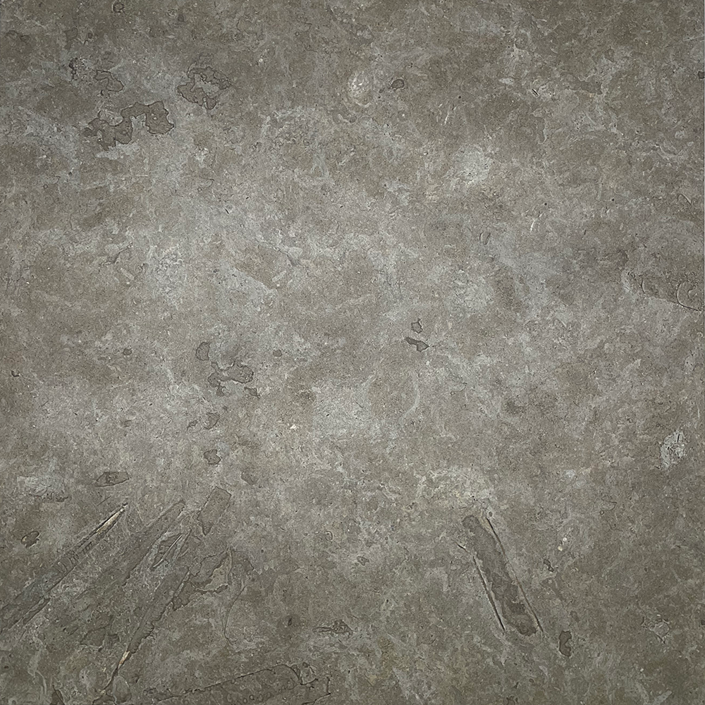 bild1